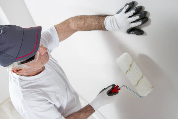 Best Mold Damage Restoration  in USA